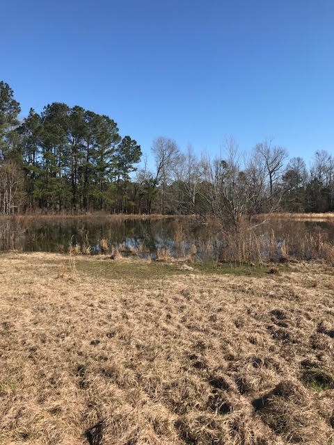 199 Abney Road Cochran, GA 31014 - Photo 5 of 13 Additional Photo