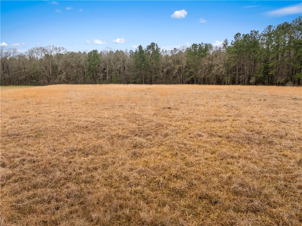 0 Red Lick Road Oakdale, LA 71463 - Photo 1 of 11 Gallery Image 1