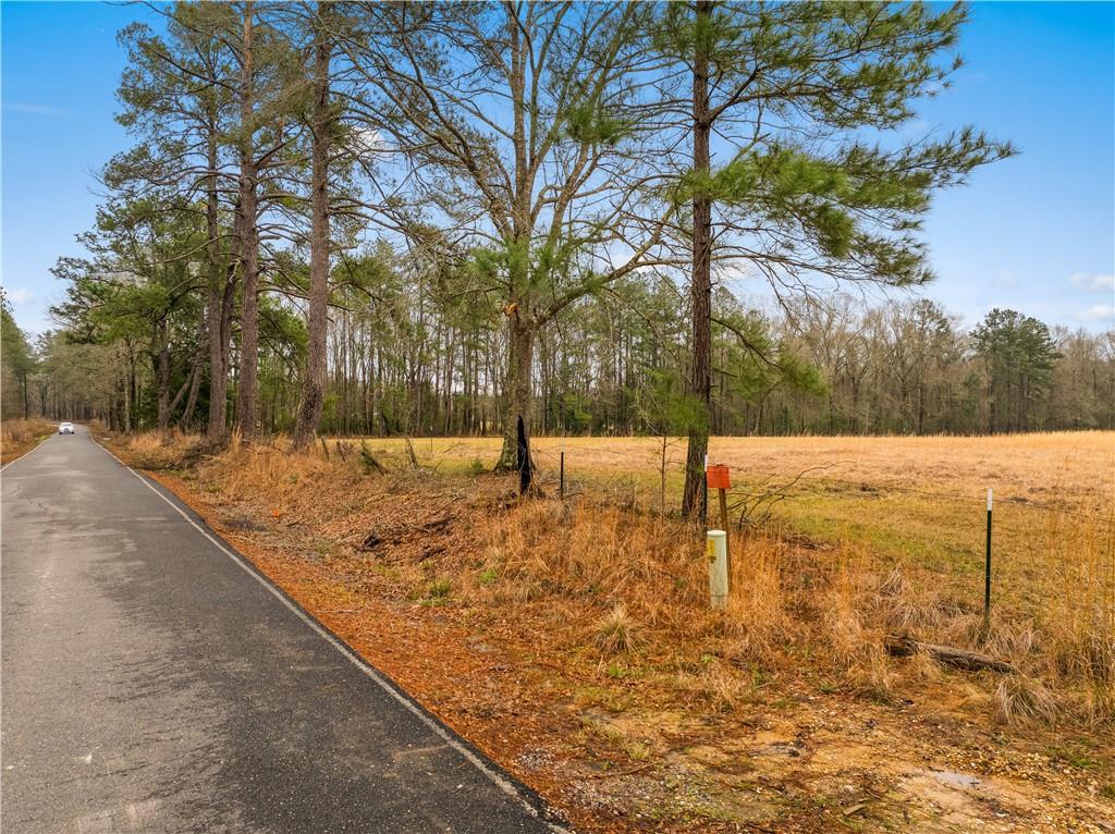 0 Red Lick Road Oakdale, LA 71463 - Photo 3 of 11 Gallery Image 3