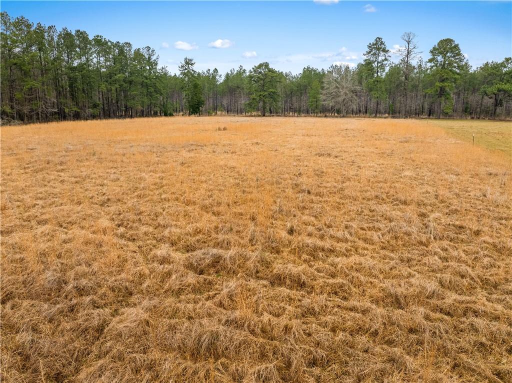0 Red Lick Road Oakdale, LA 71463 - Photo 4 of 11 Gallery Image 4