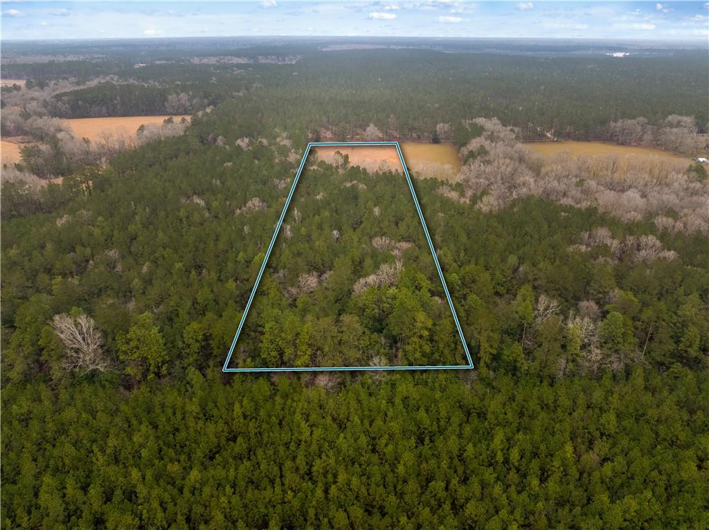 0 Red Lick Road Oakdale, LA 71463 - Photo 6 of 11 Gallery Image 6