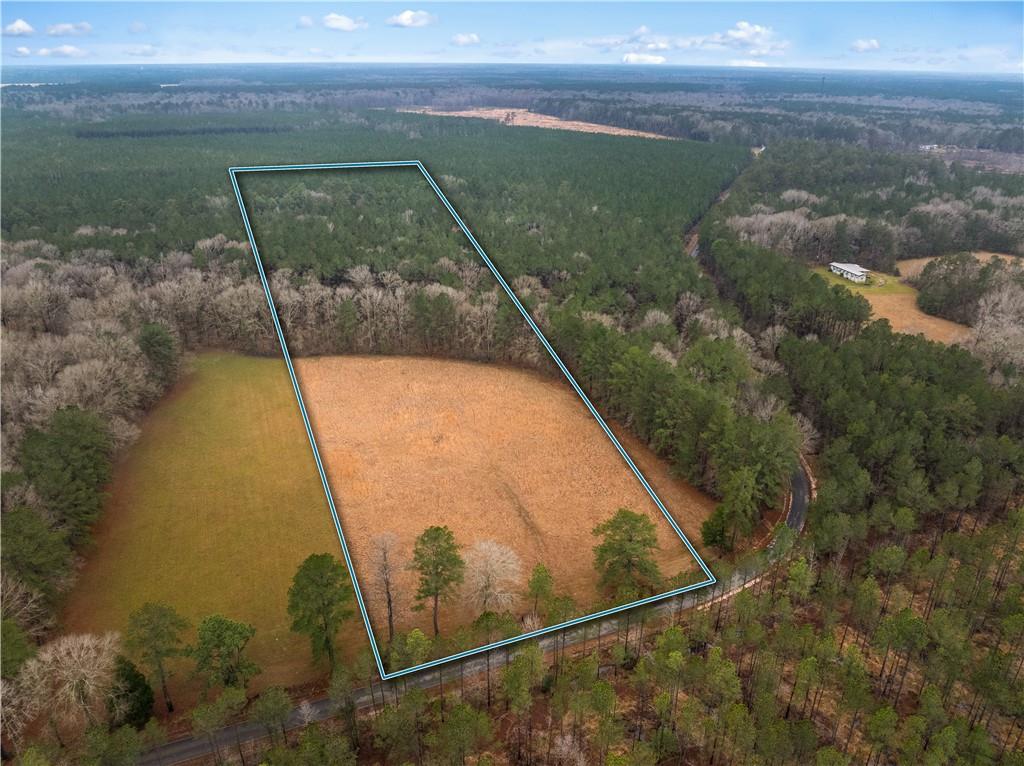 0 Red Lick Road Oakdale, LA 71463 - Photo 7 of 11 Gallery Image 7