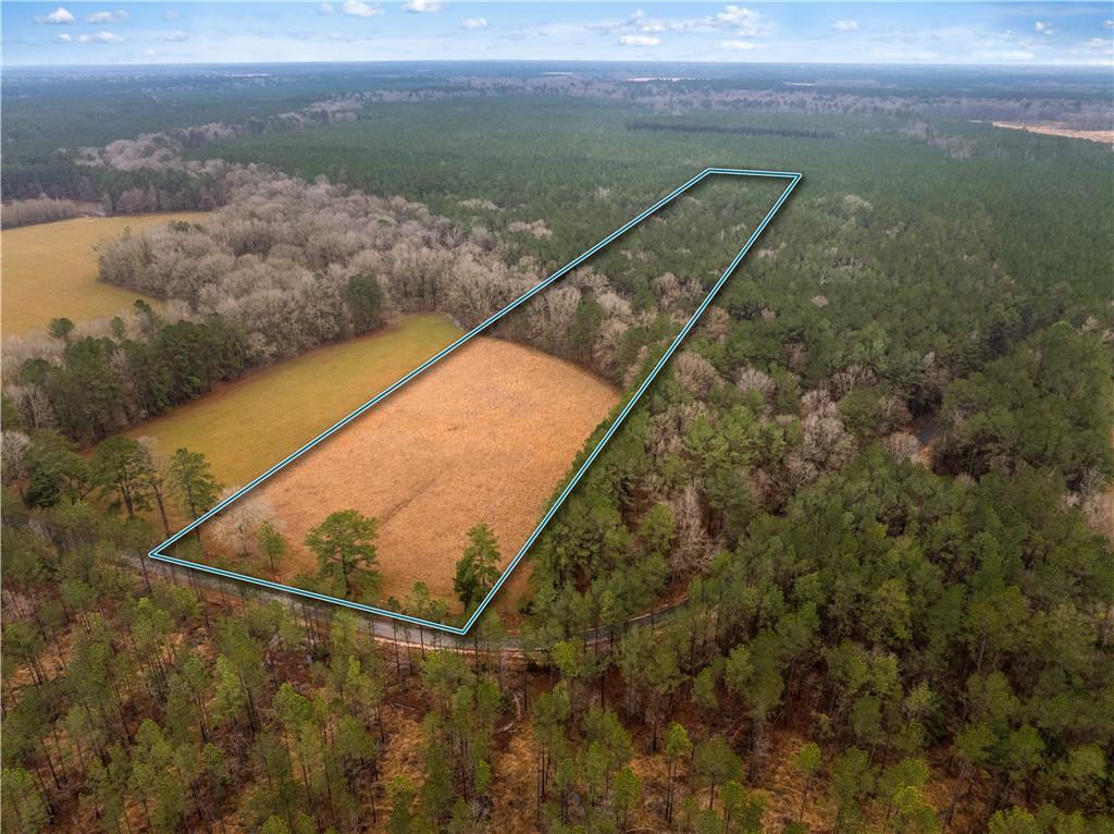 0 Red Lick Road Oakdale, LA 71463 - Photo 8 of 11 Gallery Image 8