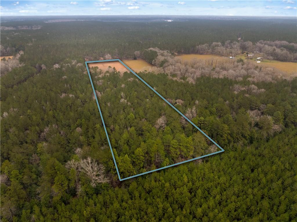 0 Red Lick Road Oakdale, LA 71463 - Photo 9 of 11 Gallery Image 9