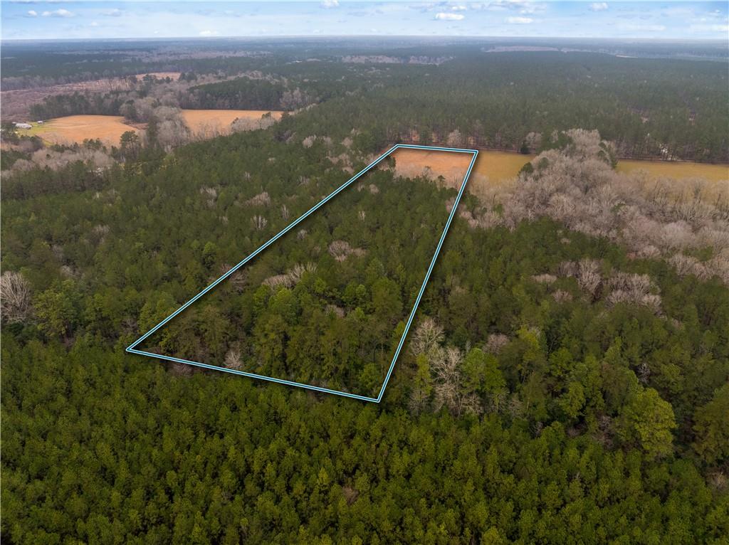 0 Red Lick Road Oakdale, LA 71463 - Photo 10 of 11 Gallery Image 10