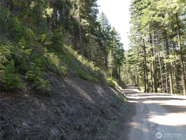 a view of a yard with trees