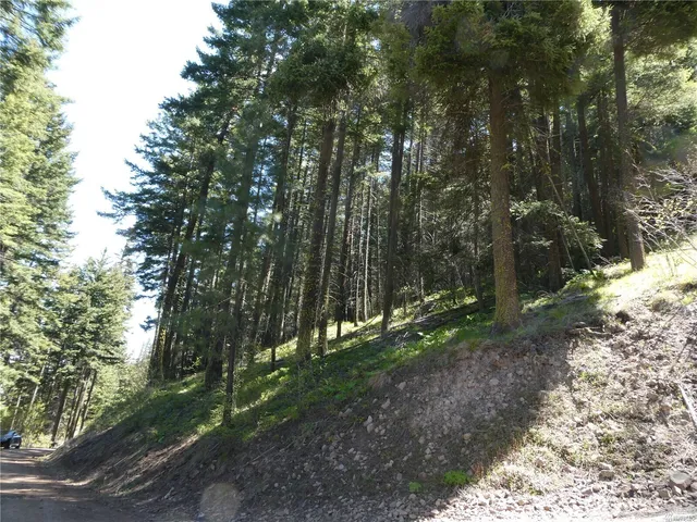 a view of a town with mountains in the background