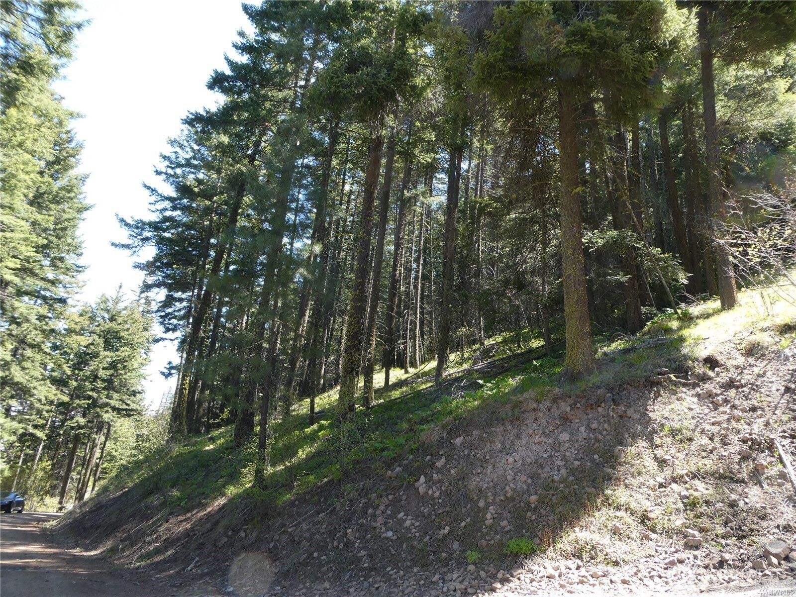 831 Horse Heaven Road Cle Elum, WA 98922 - Photo 19 of 32 a view of forest