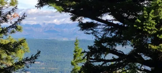 $120,000 | 831 Horse Heaven Road, Cle Elum, WA 98922