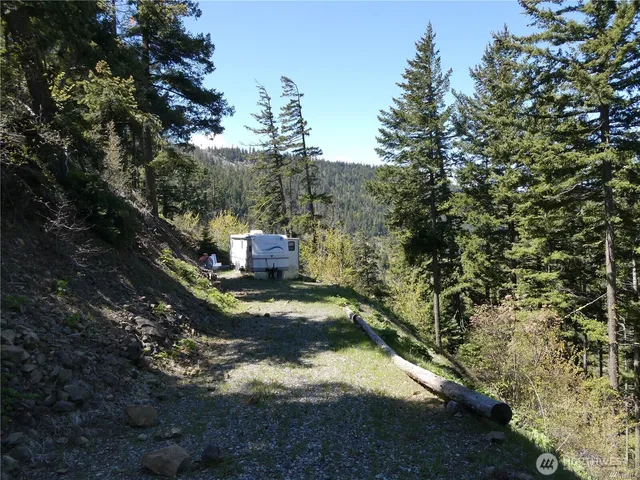 a view of a big yard with plants and a tree