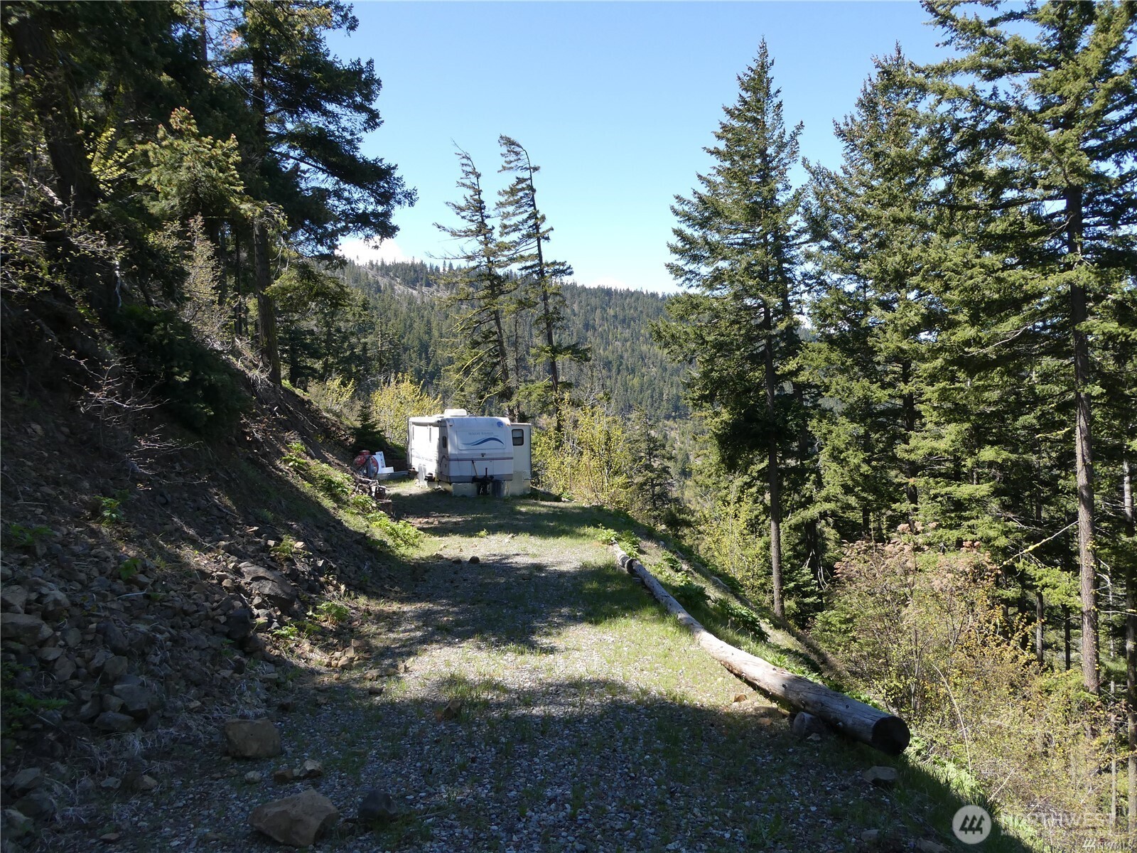 831 Horse Heaven Road Cle Elum, WA 98922 - Photo 6 of 32 a view of a big yard with plants and a tree