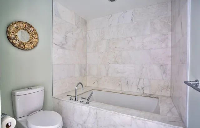 a bathroom with a toilet and a bathtub