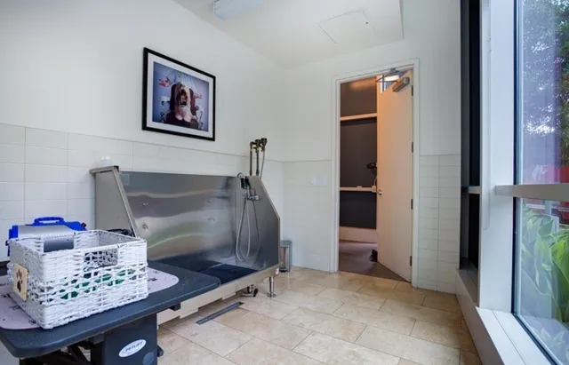 a view of dining room with furniture