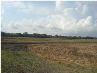 Lot 42 Keystone Drive Church Point, LA 70525 - Photo 1 of 1 Primary Photo