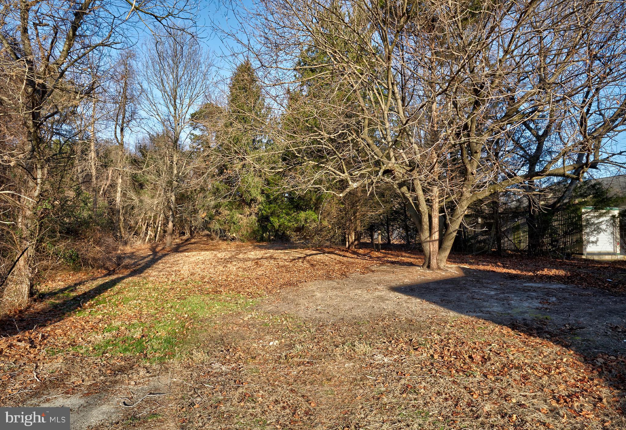 2345 Cooper Road Atco, NJ 08004 - Photo 20 of 22 Back Yard