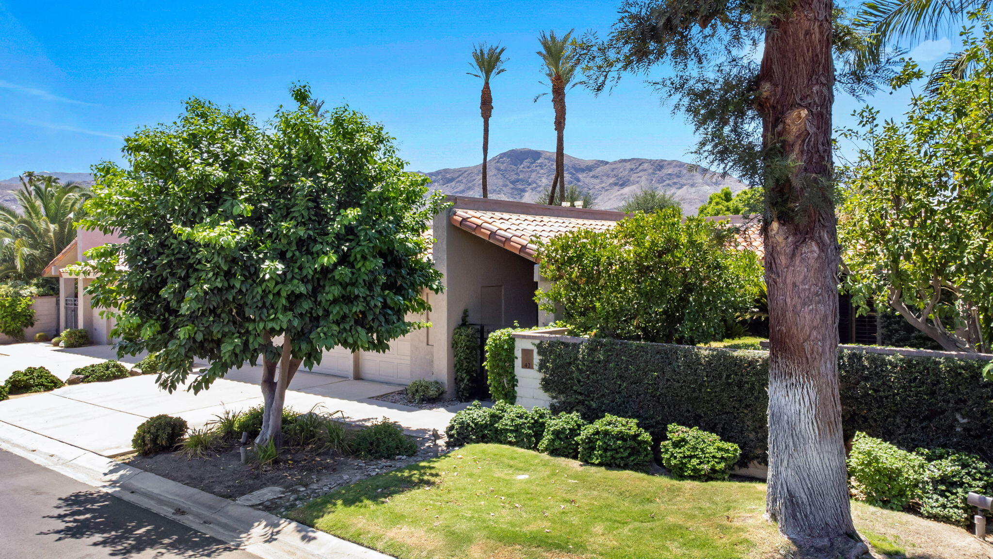 Undisclosed Address Rancho Mirage, CA 92270 - Photo 8 of 52 a view of a backyard with a tree