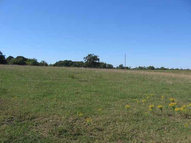 29-ac Beeks Road Belton, SC 29627 - Photo 4 of 8