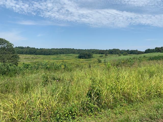 Ac Randolph Goodluck Road Summer Shade, KY 42166 - Photo 3 of 4 Gallery Image 3