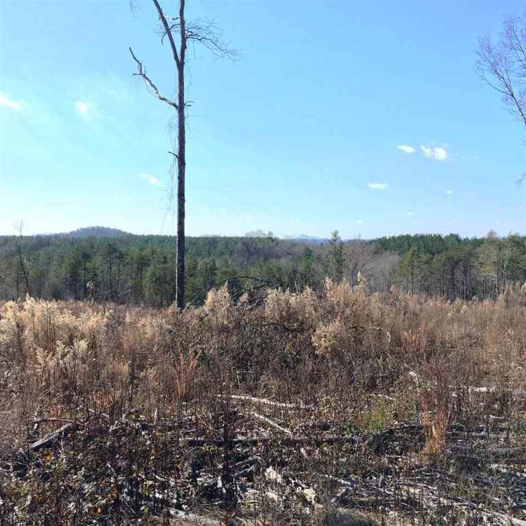 655 Cleveland Pike Road Westminster, SC 29693 - Photo 12 of 14 Gallery Image 12
