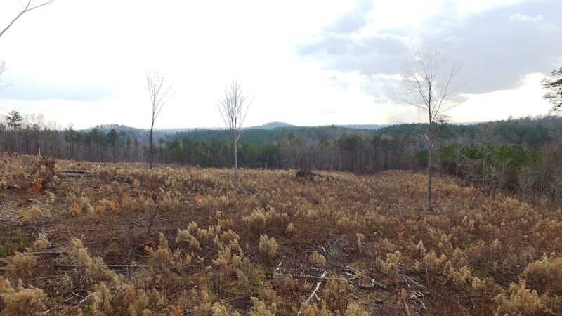 655 Cleveland Pike Road Westminster, SC 29693 - Photo 3 of 14 Gallery Image 3