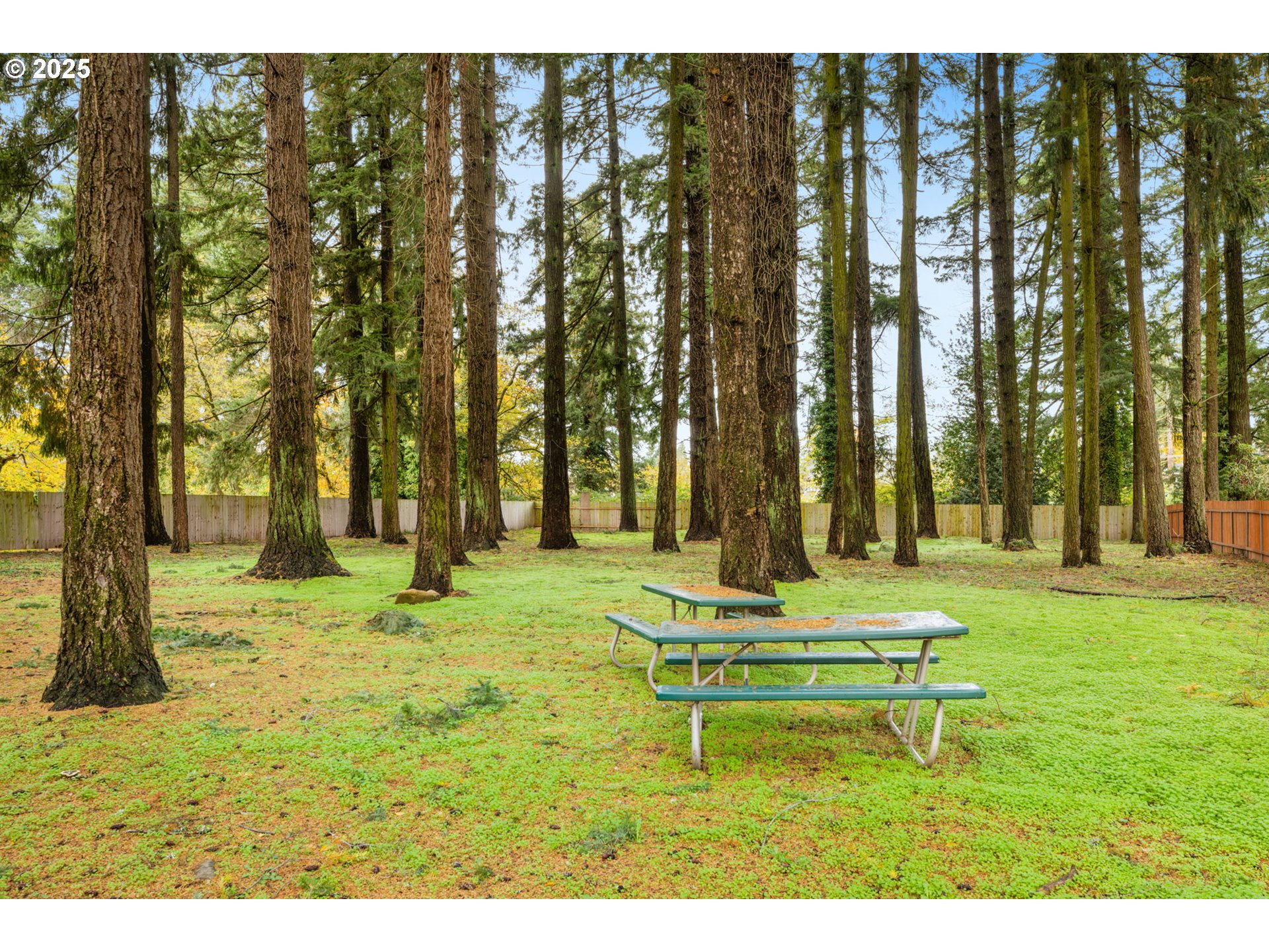 13047 Southeast Ramona Street Portland, OR 97236 - Photo 42 of 48 a backyard of a house with table and chairs