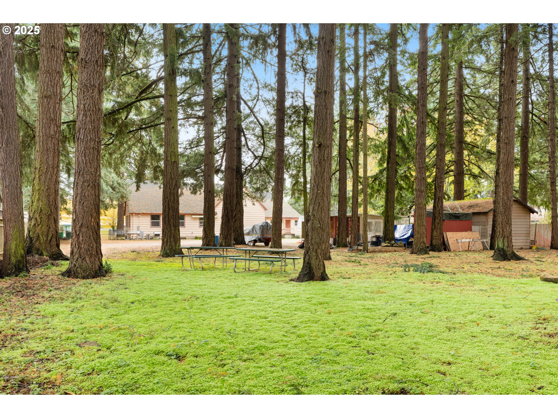 13047 Southeast Ramona Street Portland, OR 97236 - Photo 43 of 48 a swimming pool with trees in the background