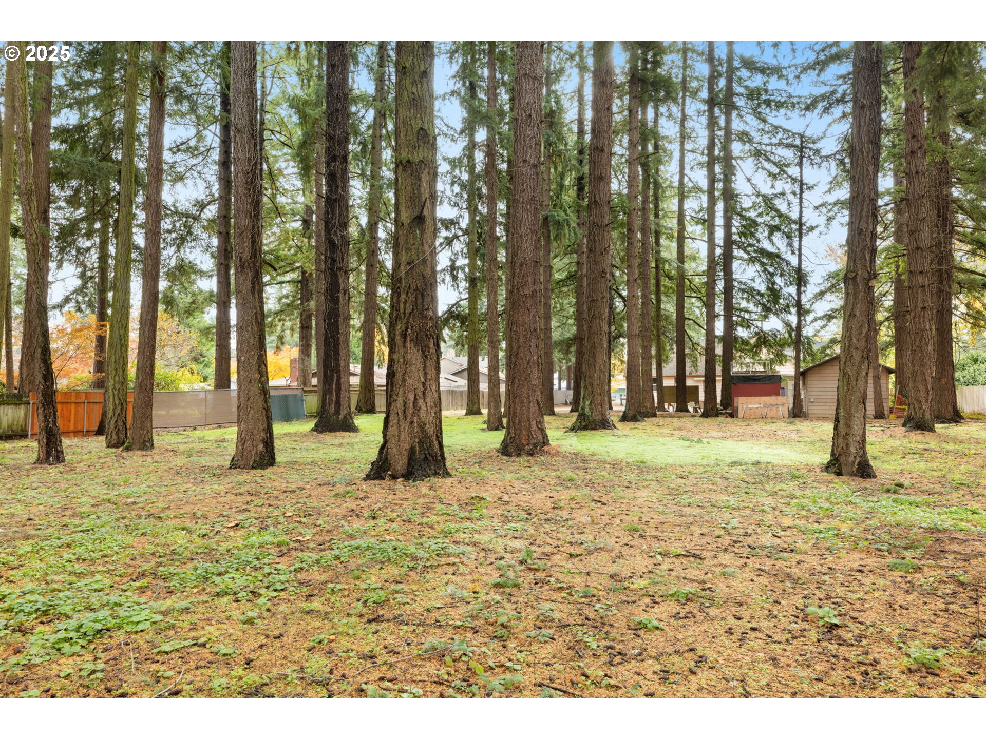 13047 Southeast Ramona Street Portland, OR 97236 - Photo 44 of 48 a swimming pool with trees in the background