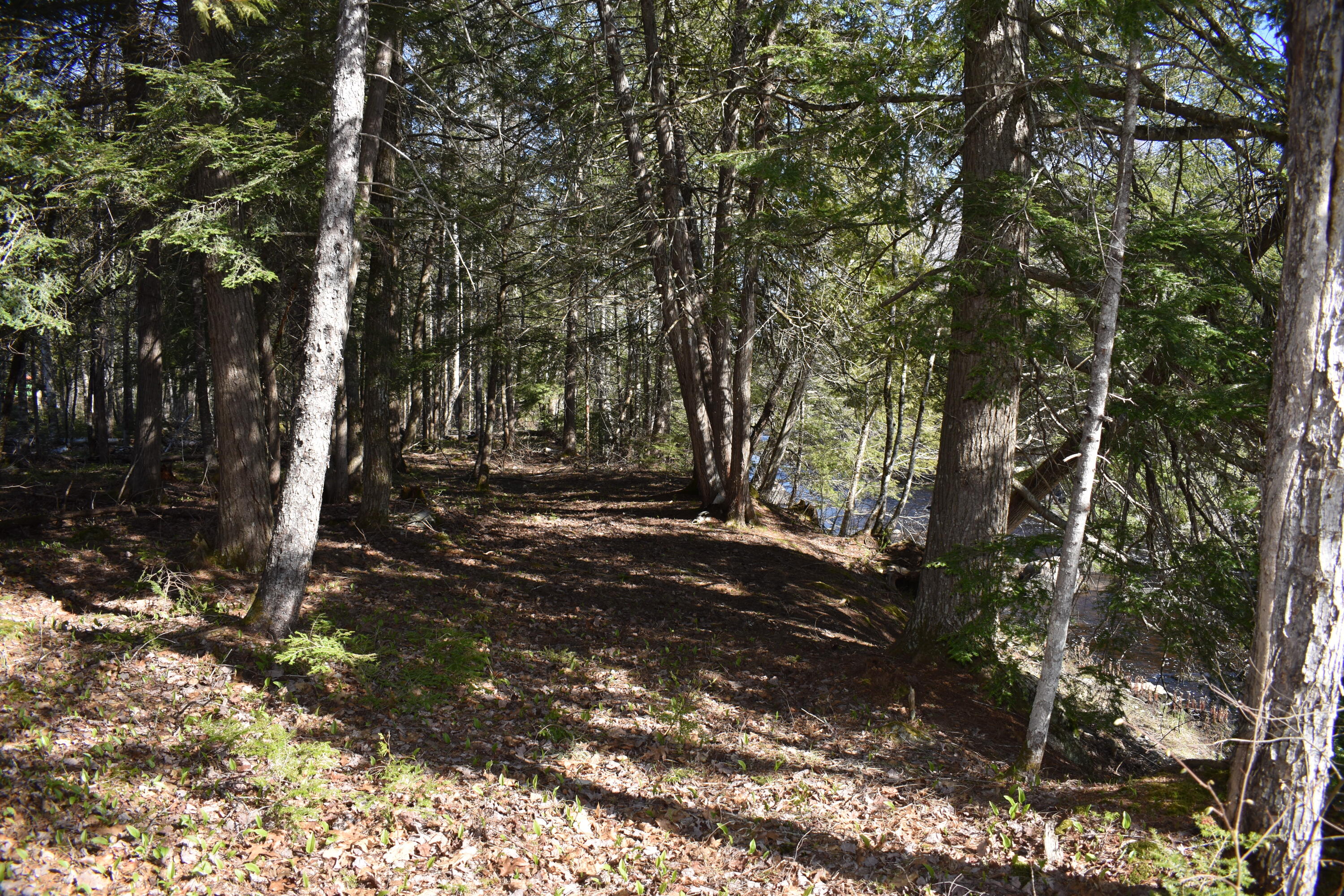 15 Loop Road Lincoln, ME 04457 - Photo 42 of 51 DSC_0130