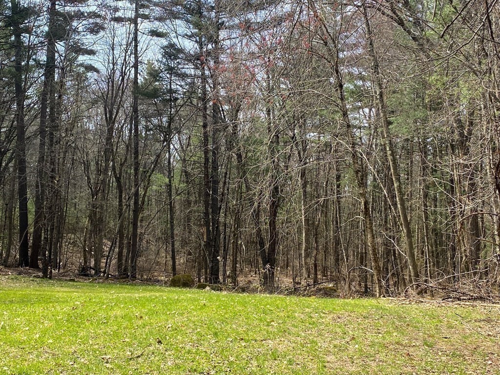 95 Franklin Street Douglas, MA 01516 - Photo 7 of 40 a view of yard with trees