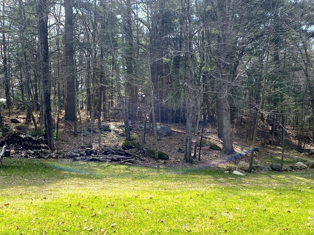 95 Franklin Street Douglas, MA 01516 - Photo 8 of 40 a view of swimming pool with trees in the background