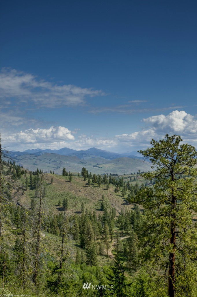 50 Nighthawk Ridge Road Winthrop, WA 98862 - Photo 1 of 8 Gallery Image 1