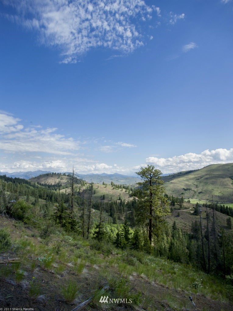 50 Nighthawk Ridge Road Winthrop, WA 98862 - Photo 2 of 8 Gallery Image 2