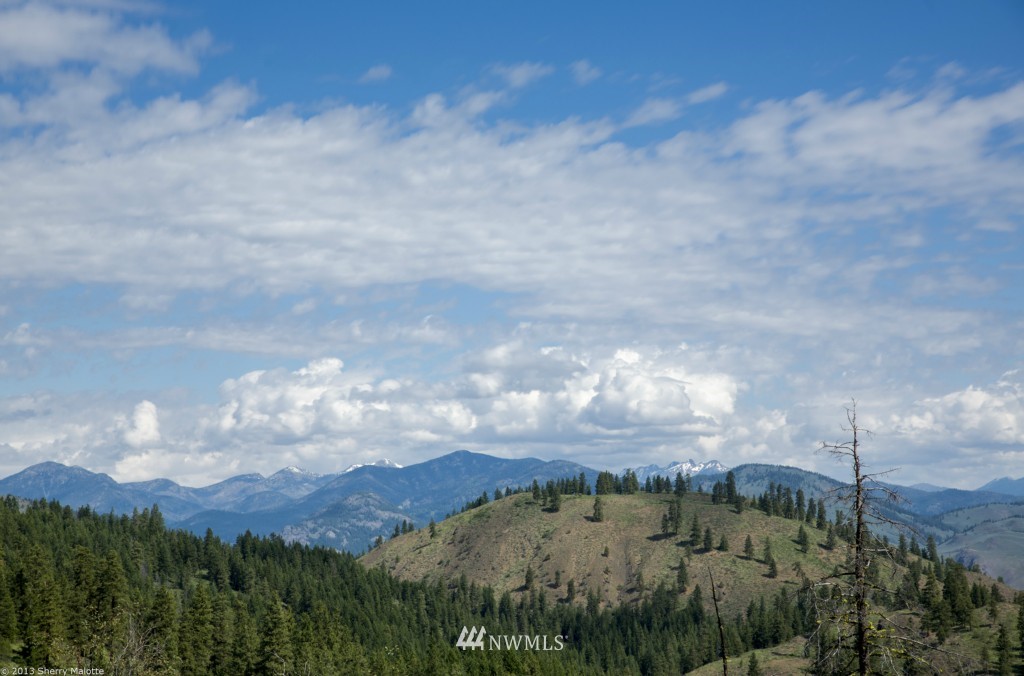 50 Nighthawk Ridge Road Winthrop, WA 98862 - Photo 3 of 8 Gallery Image 3