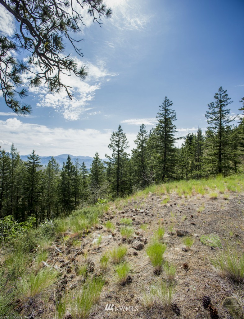 50 Nighthawk Ridge Road Winthrop, WA 98862 - Photo 4 of 8 Gallery Image 4
