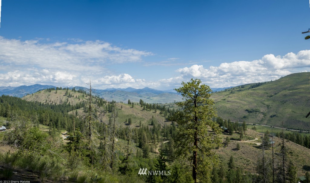 50 Nighthawk Ridge Road Winthrop, WA 98862 - Photo 5 of 8 Gallery Image 5