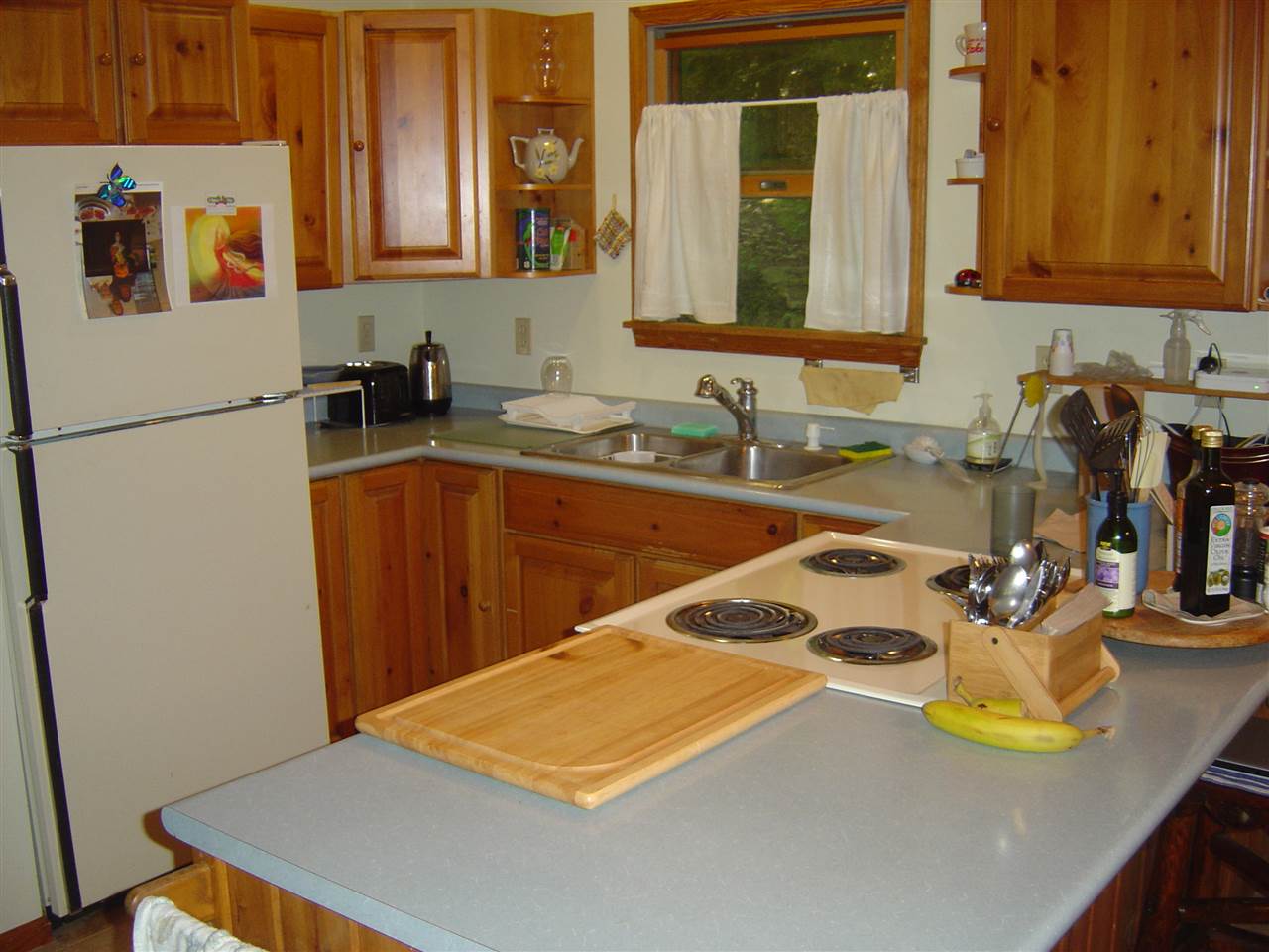 949 Old Miller Road Beulah, MI 49617 - Photo 3 of 31 1803478-2.JPG