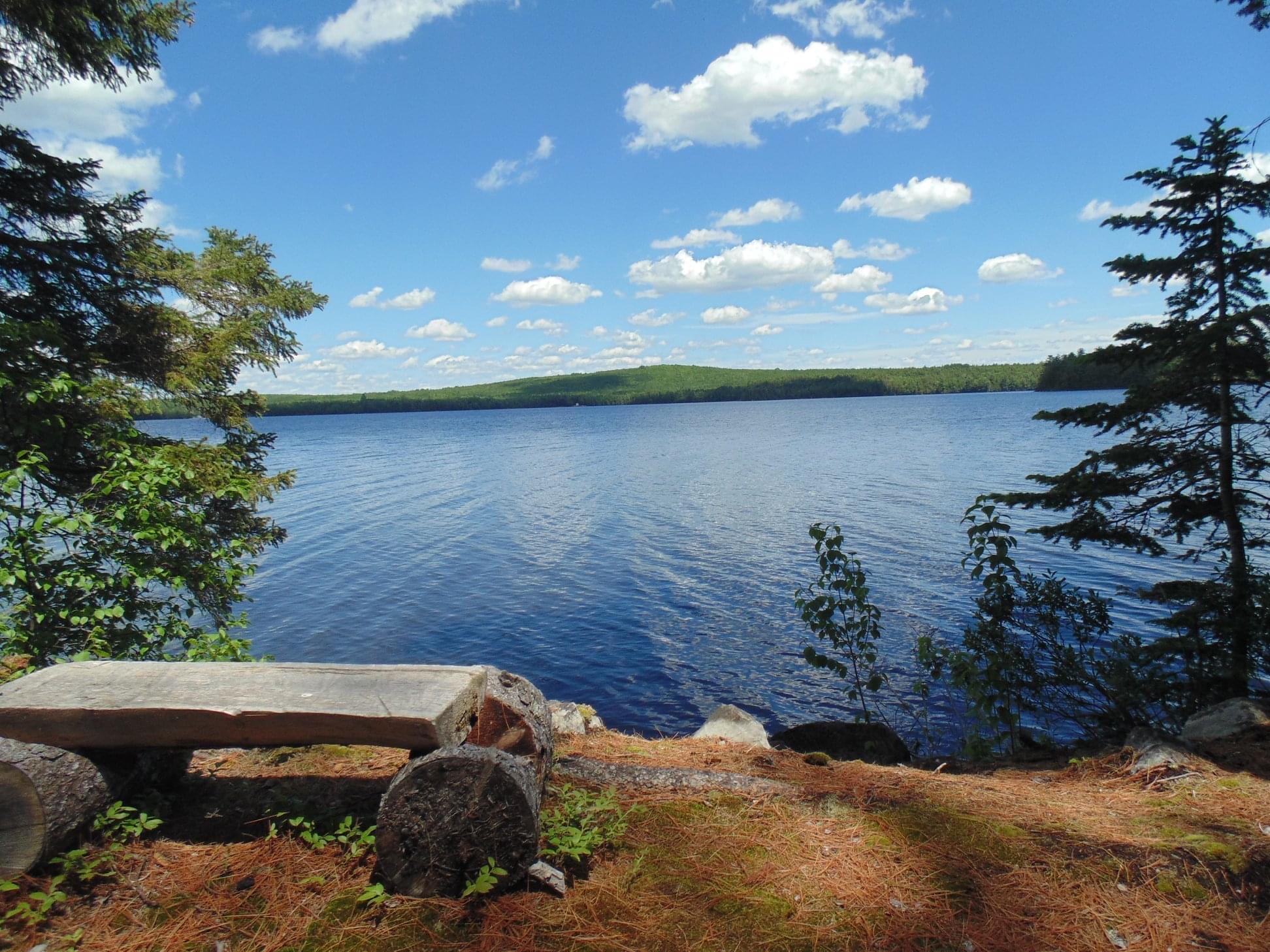 1174 Cove Road Howland, ME 04448 - Photo 3 of 72 3