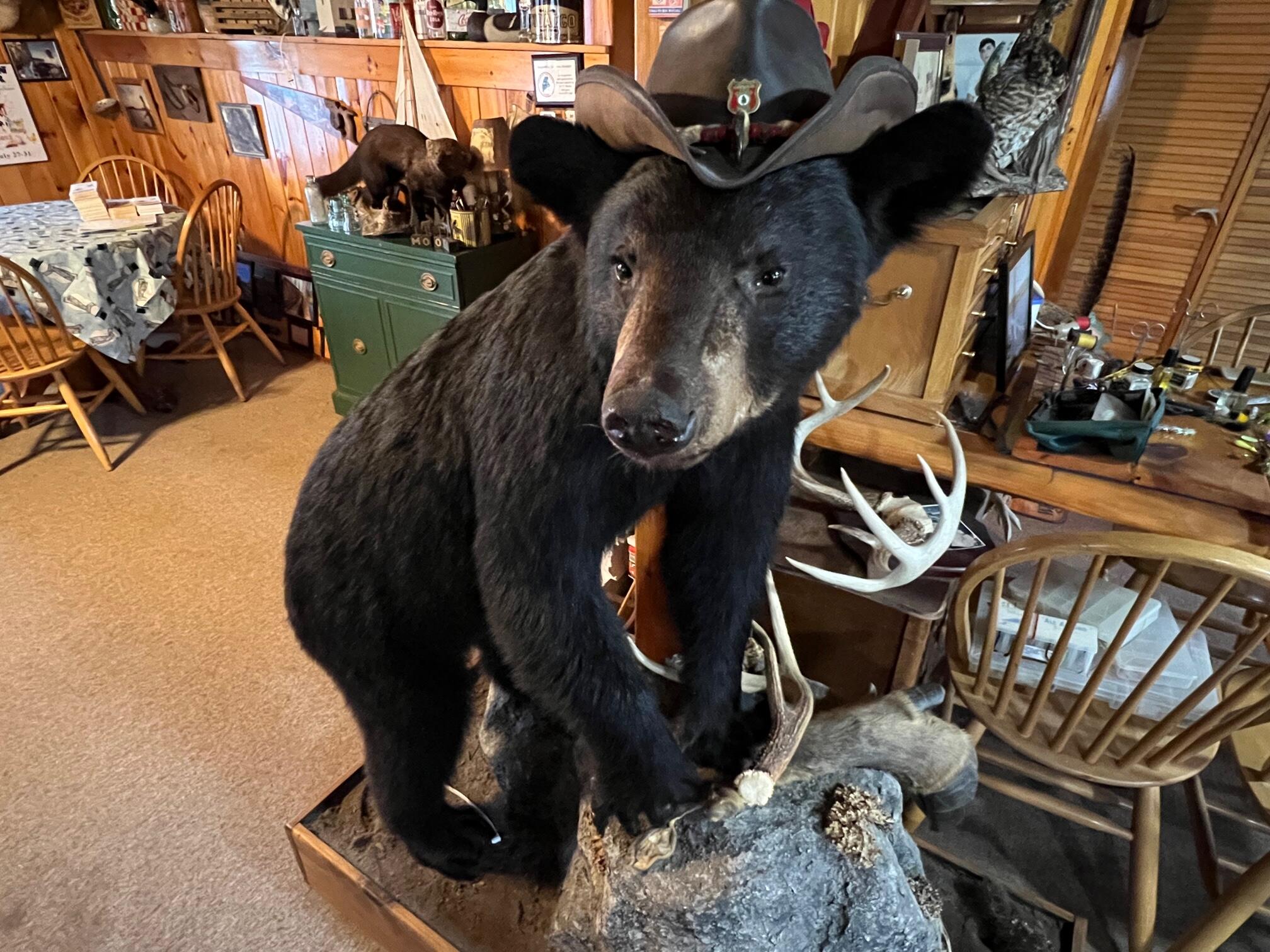 1174 Cove Road Howland, ME 04448 - Photo 8 of 72 8