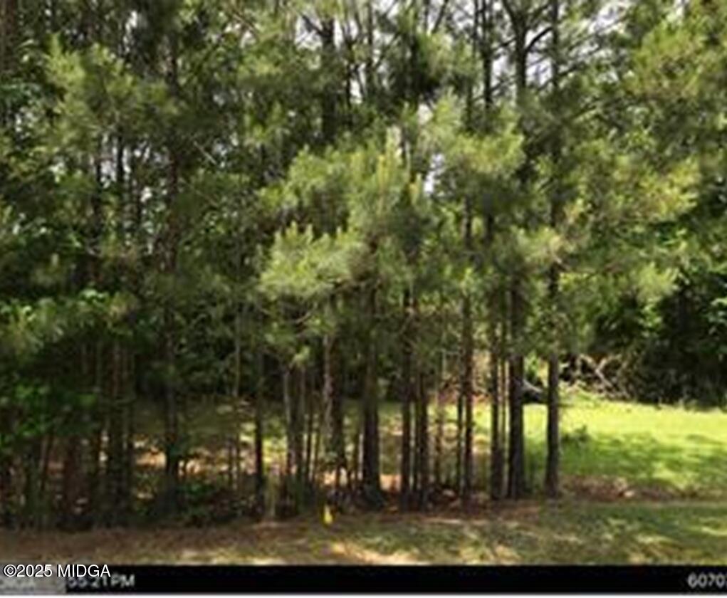 a view of outdoor space with trees