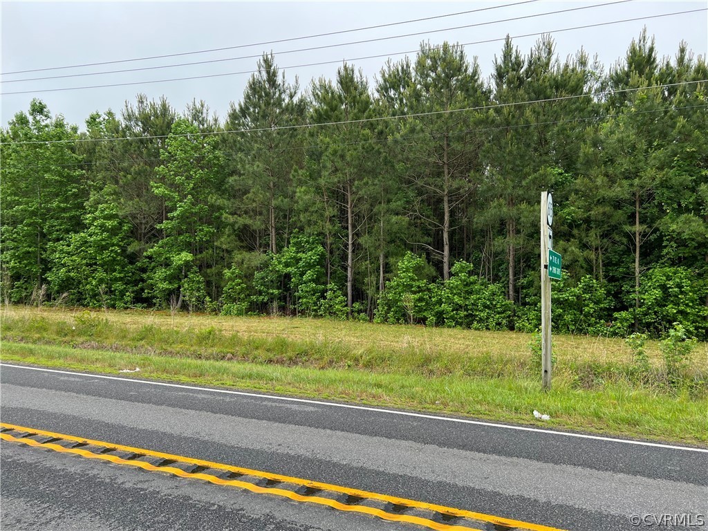 0 Rolfe Highway Dendron, VA 23839 - Photo 1 of 2 Two Lots.