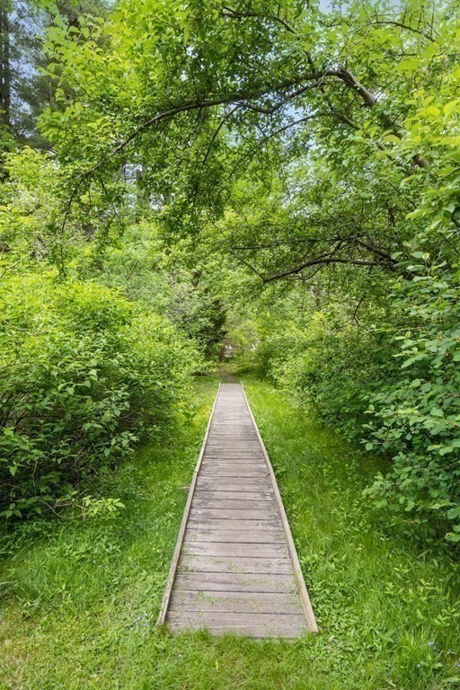 32 Peacock Farm Road Lexington, MA 02421 - Photo 15 of 16 a view of a pathway with a yard