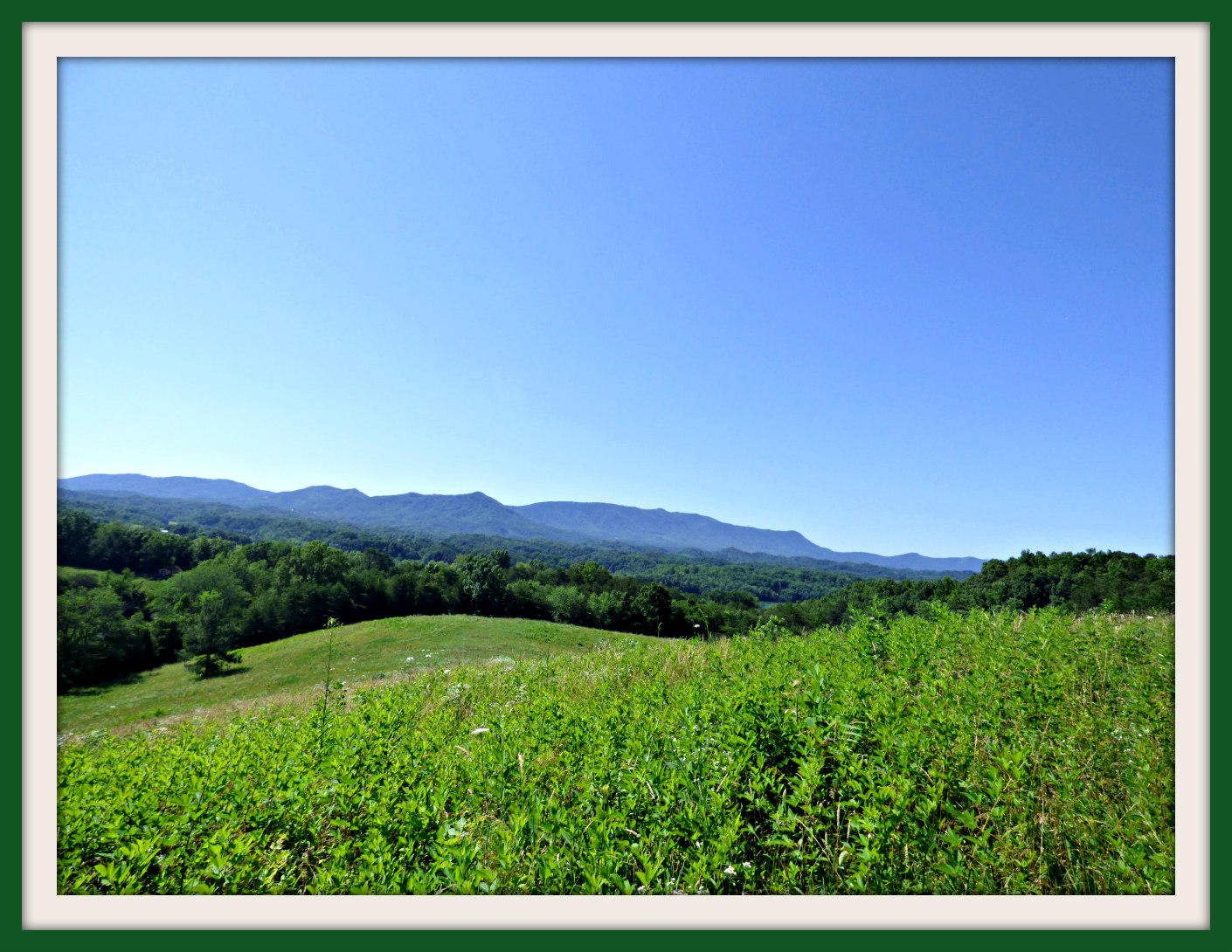 1 Swannsylvania Road Dandridge, TN 37725 - Photo 17 of 19 Gallery Image 17