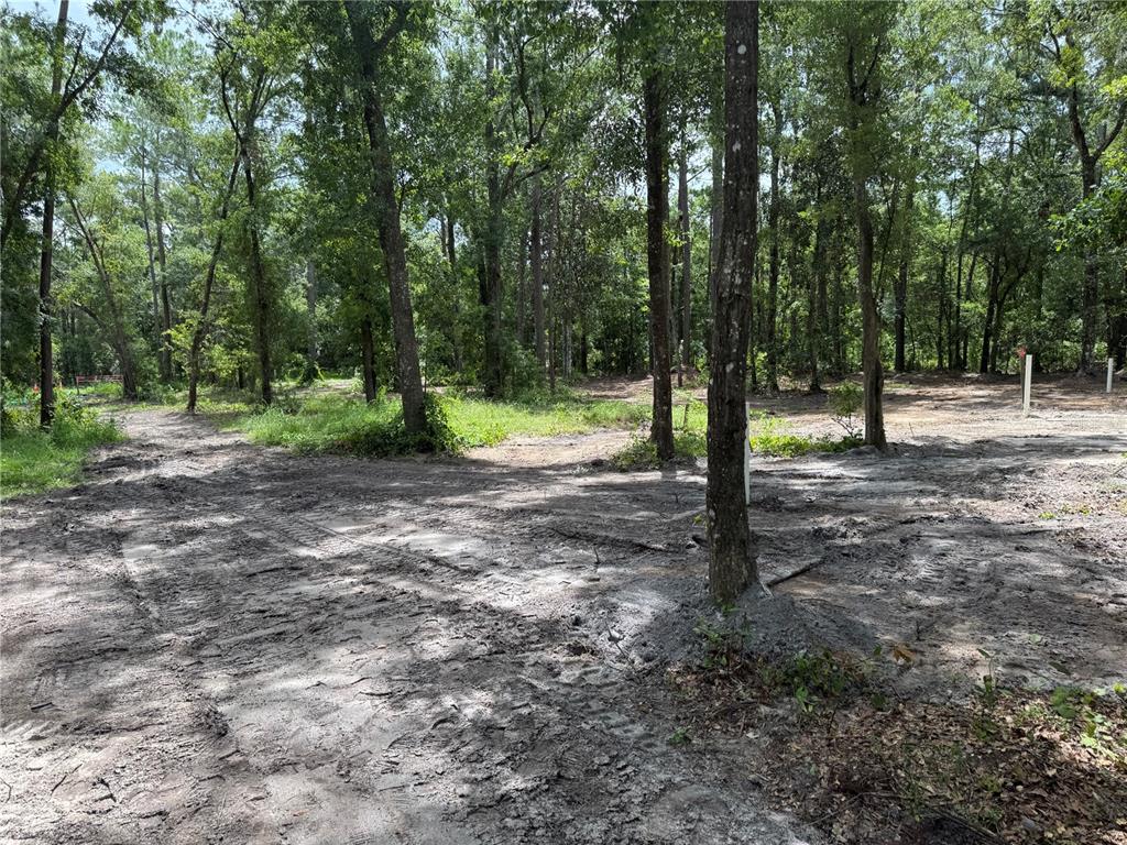 Tbd Waldo, FL 32694 - Photo 15 of 17