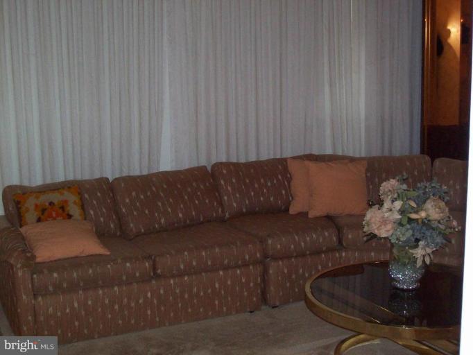 7109 Boxford Road Baltimore, MD 21215 - Photo 2 of 6 a living room with a couch and a potted plant