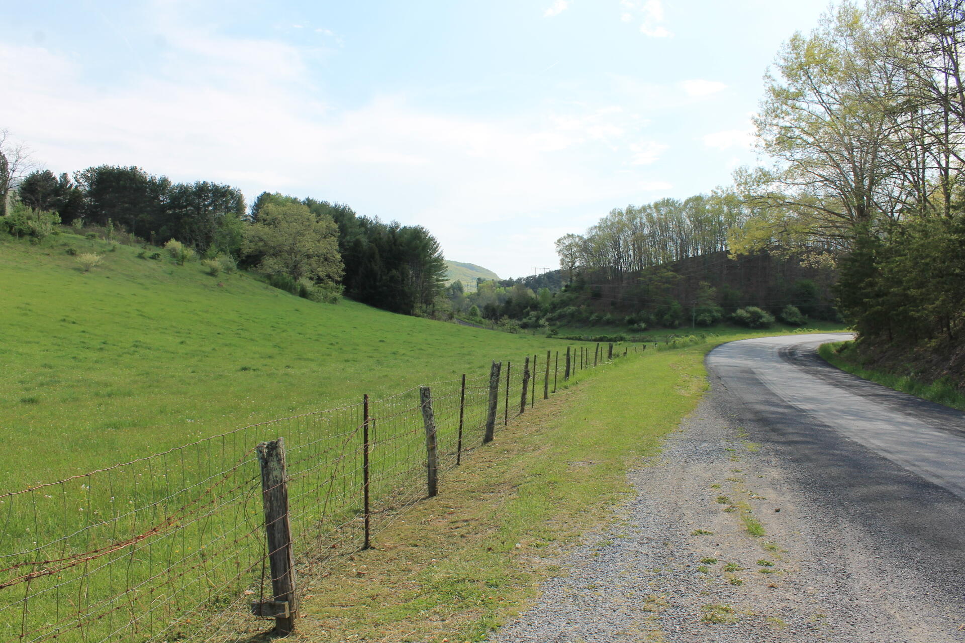 133 Morris Hill Road Covington, VA 24426 - Photo 3 of 11 road view