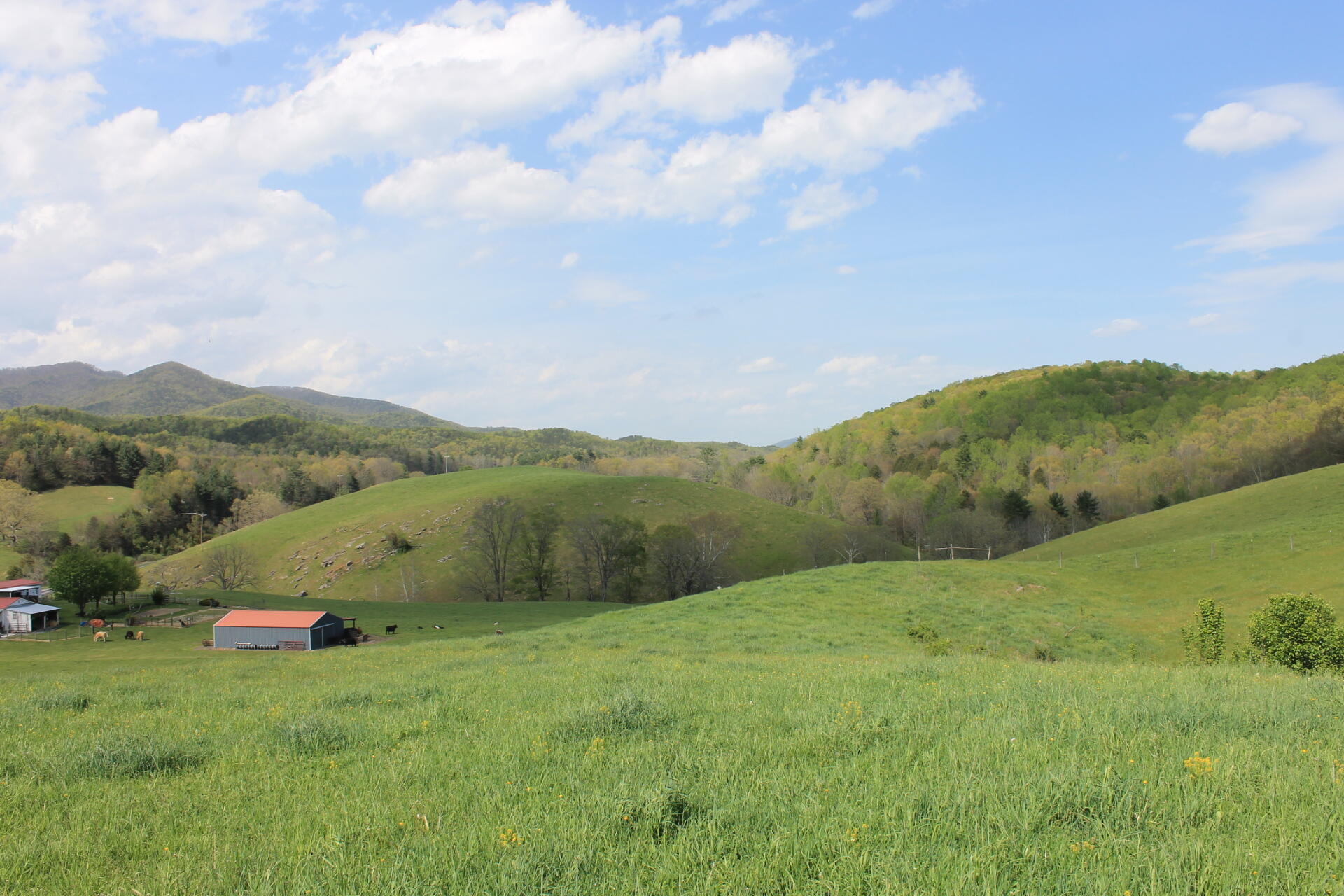 133 Morris Hill Road Covington, VA 24426 - Photo 4 of 11 view from barn
