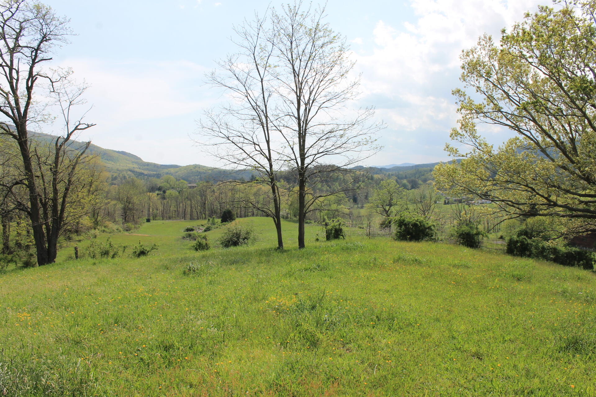 133 Morris Hill Road Covington, VA 24426 - Photo 7 of 11 View South
