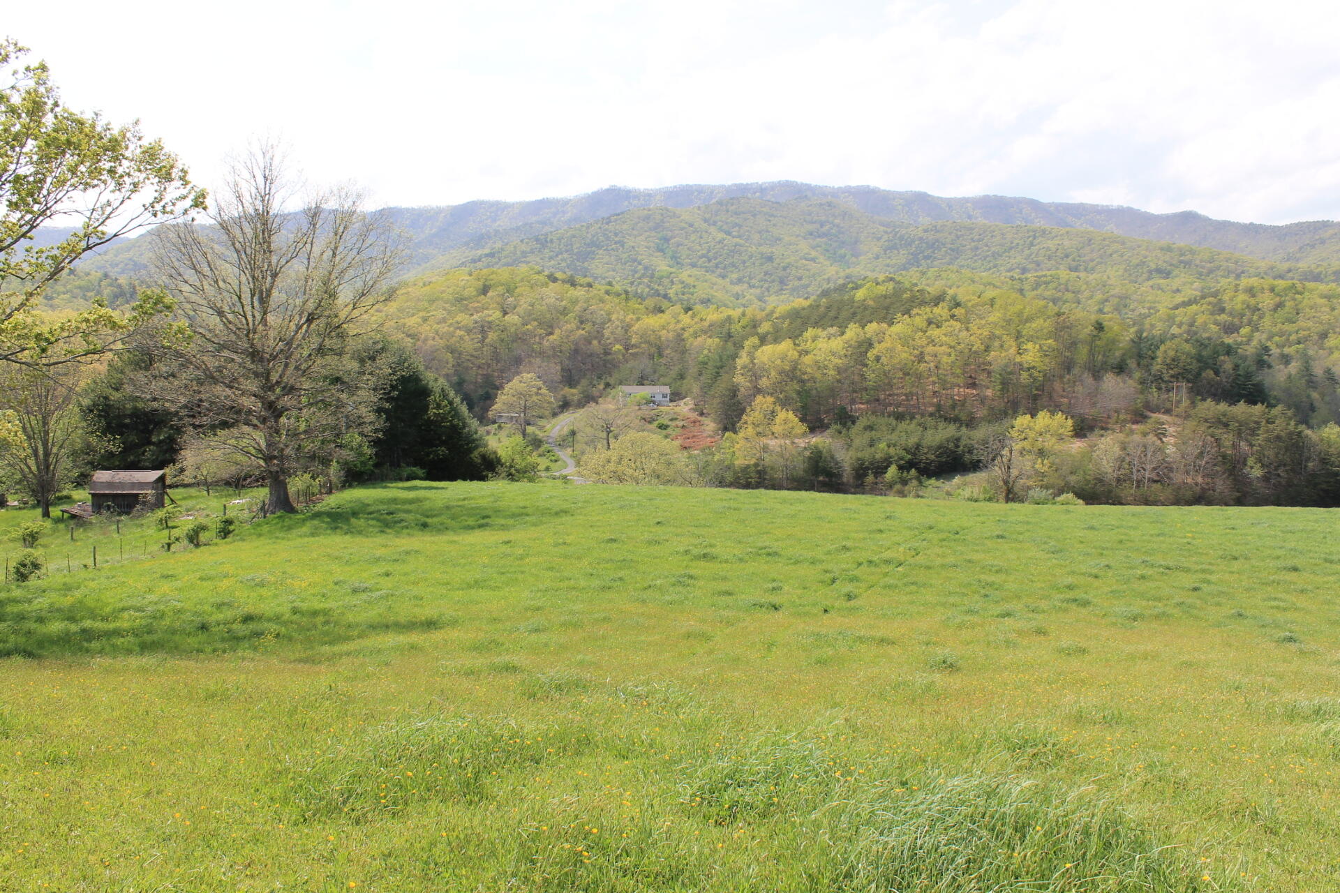 133 Morris Hill Road Covington, VA 24426 - Photo 10 of 11 Alleghany Mtns