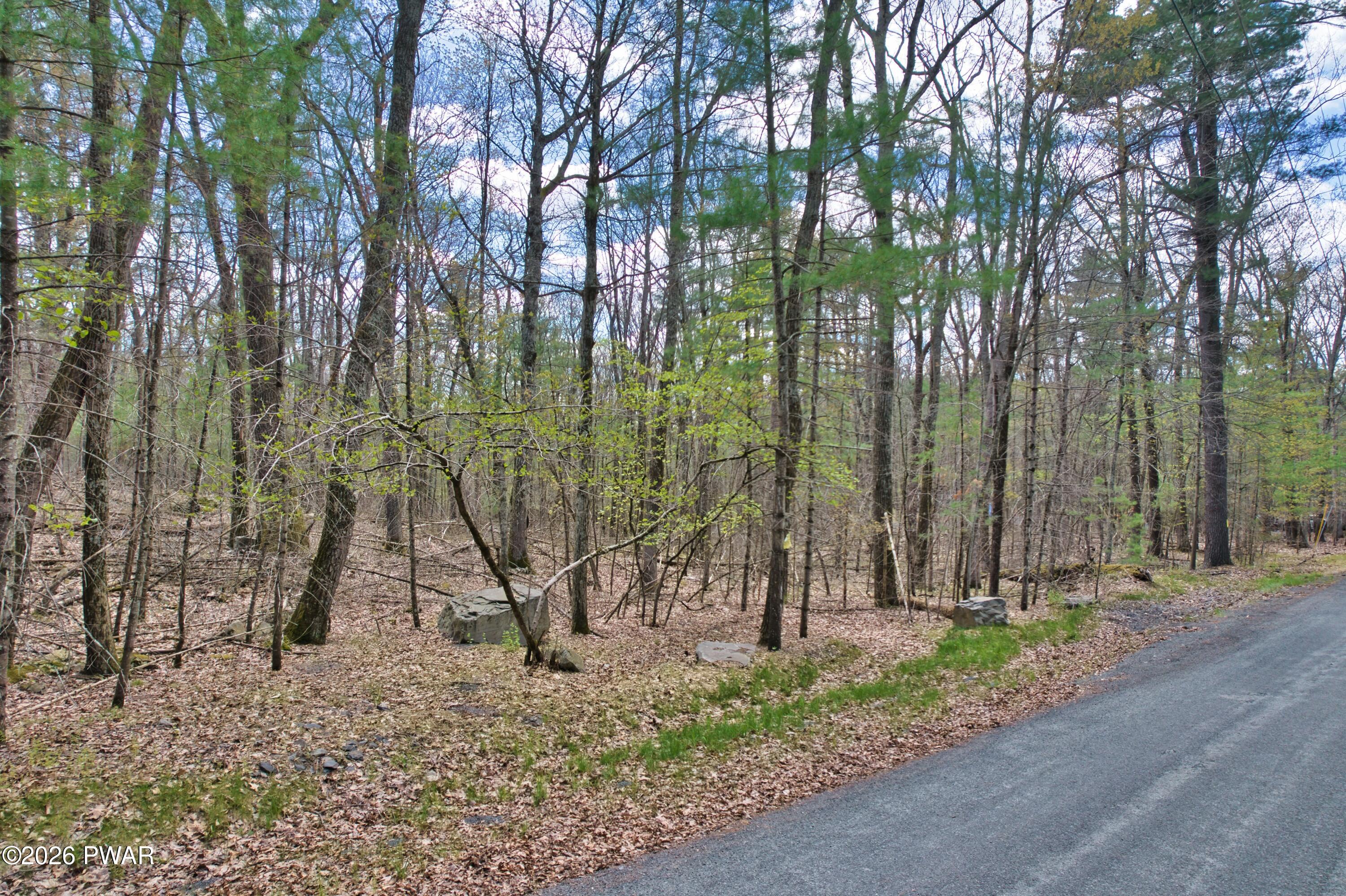122 Kitty Harker Road Dingmans Ferry, PA 18328 - Photo 3 of 7