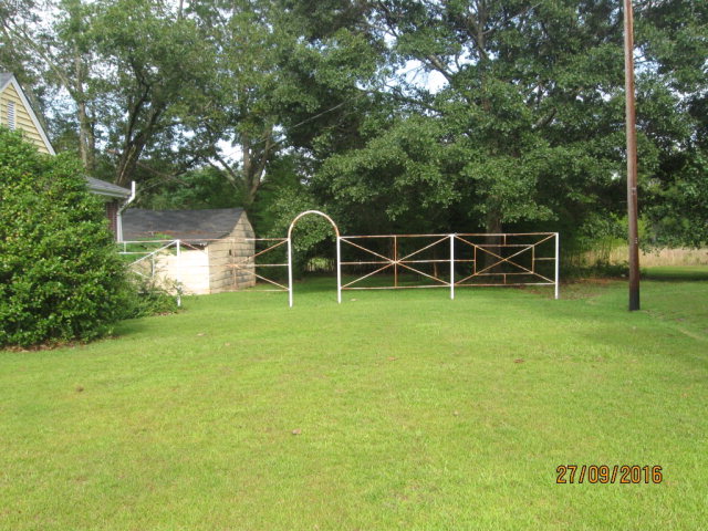 323 Sunnyside Road Thomaston, GA 30286 - Photo 30 of 30 Side yard.